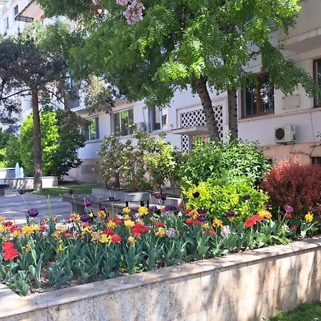 Kitty Centrul Istoric Apartamento Craiova