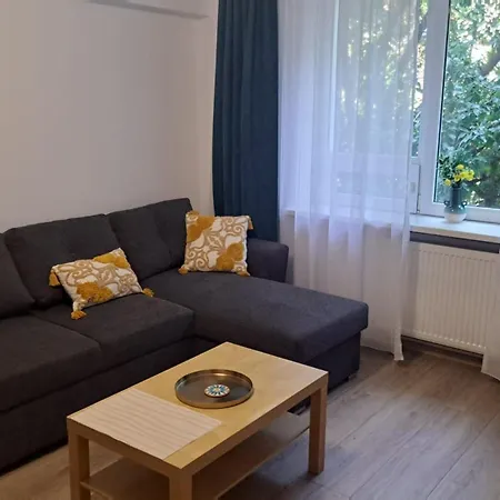 Kitty Centrul Istoric * Craiova