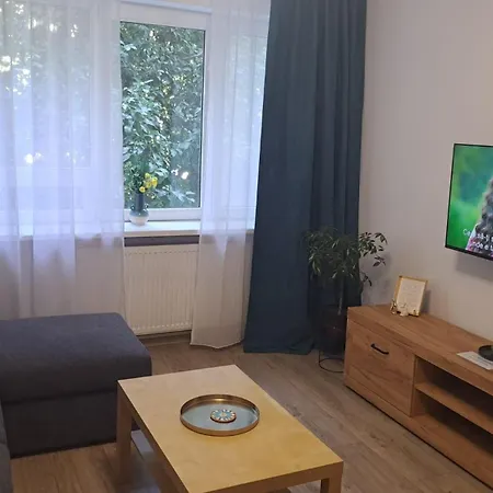 Kitty Centrul Istoric * Craiova