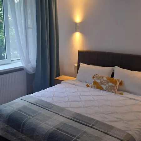 Kitty Centrul Istoric Craiova