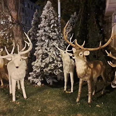 Kitty Centrul Istoric Craiova