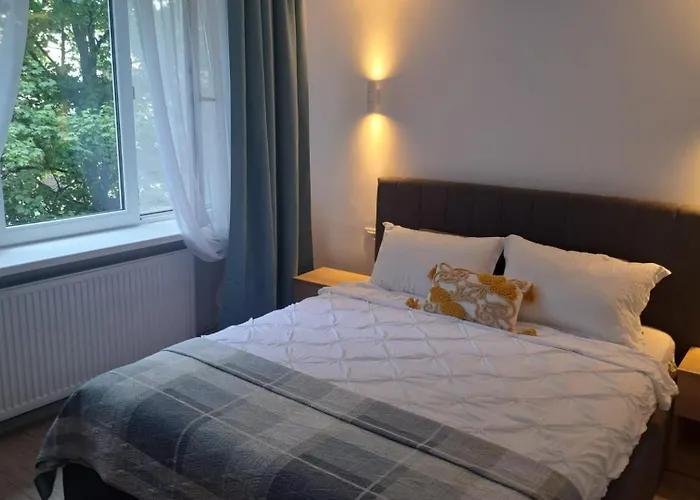 Kitty Centrul Istoric كرايوفا