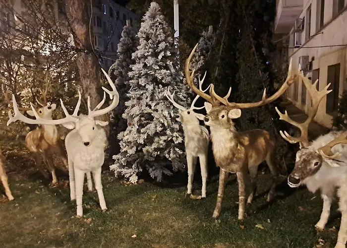 Kitty Centrul Istoric كرايوفا